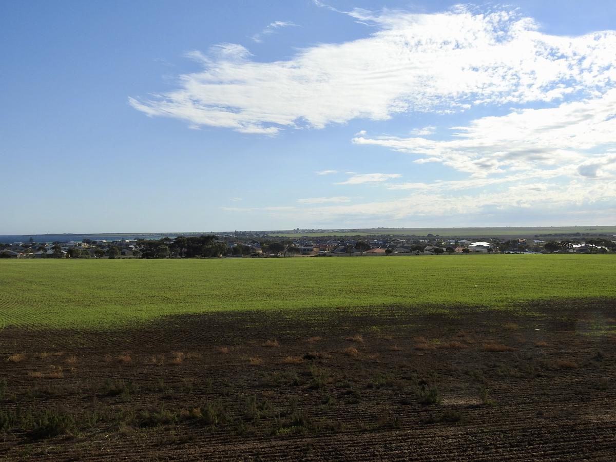 Rezare House Bed & Breakfast Wallaroo Esterno foto